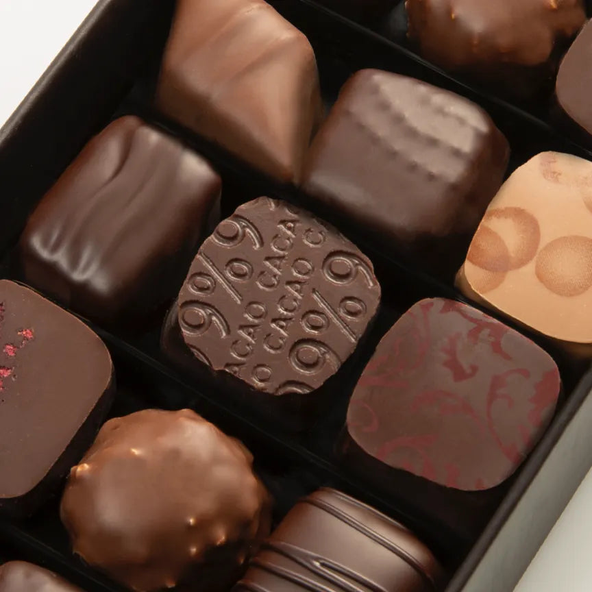 Michel Cluizel 15-Piece Premium Chocolate Bon Bons Gift Box - Assorted Flavors for Holidays, Gifts & Special Occasions