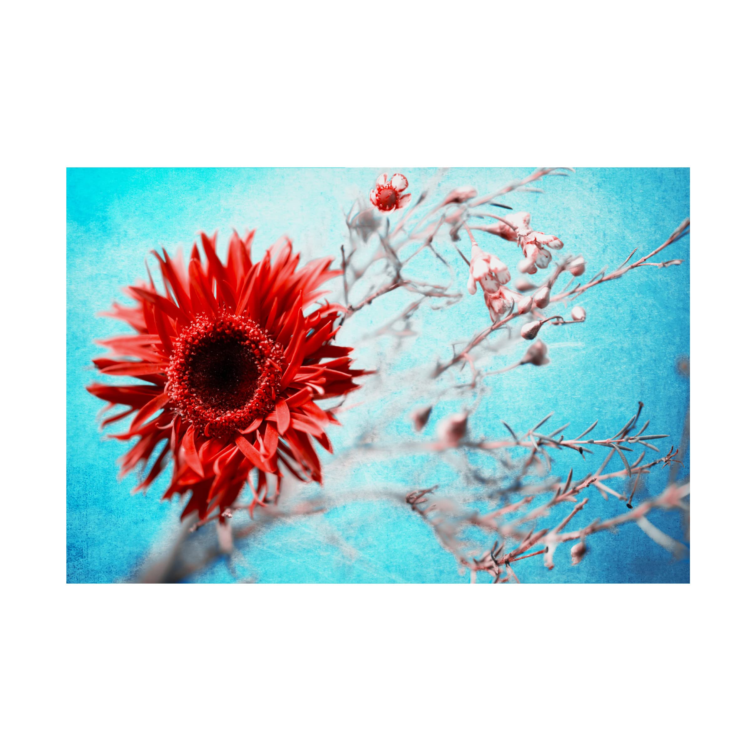 Mike Kreiten 'Marigold' Canvas Wall Art Print - Handmade Floral Oil Painting Reproduction for Living Room, Bedroom & Office Decor