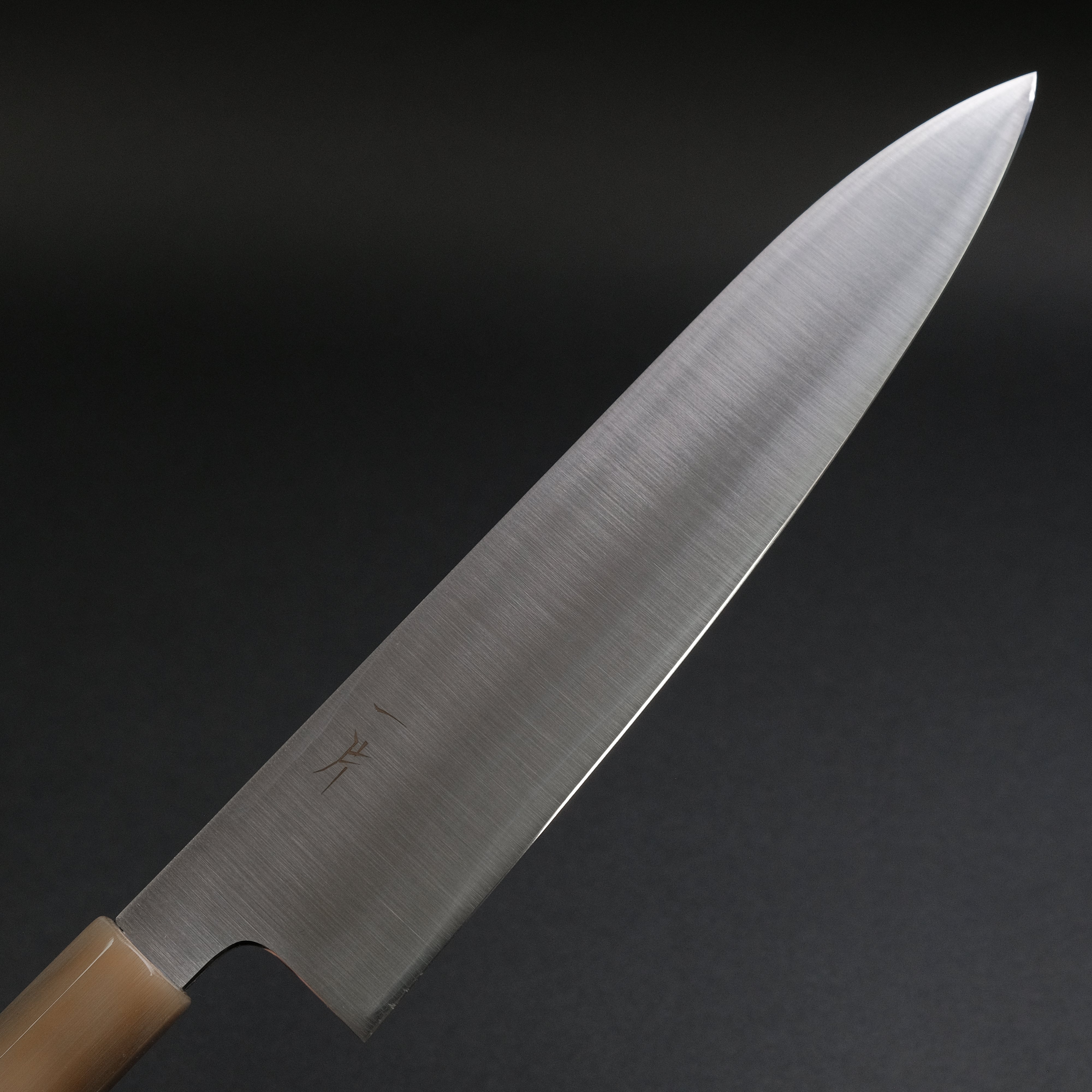 Hitohira FJ VG-10 Gyuto Japanese Chef Knife 240mm with Taihei Ho Wood Handle - Professional Kitchen Tool for Sushi, Meat Cutting & Food Preparation