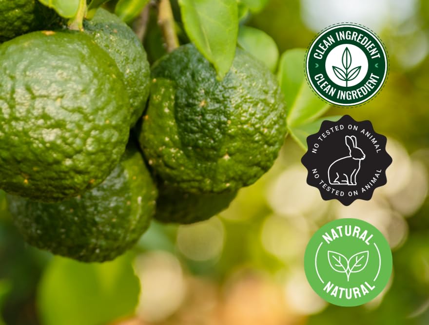 Bergamot Essential Oil 16 fl oz (Pack of 2) - 100% Pure Therapeutic Grade - Aluminum Bottle for Aromatherapy, Diffuser & Massage - GreenHealth - Perfect for Stress Relief & Mood Enhancement