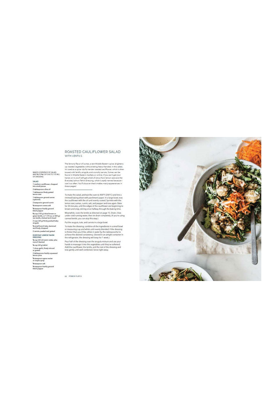 Power Plates: 100 Nutritionally Balanced Vegan Meals for Weight Loss & Muscle Gain - Perfect for Meal Prep & Healthy Lifestyle