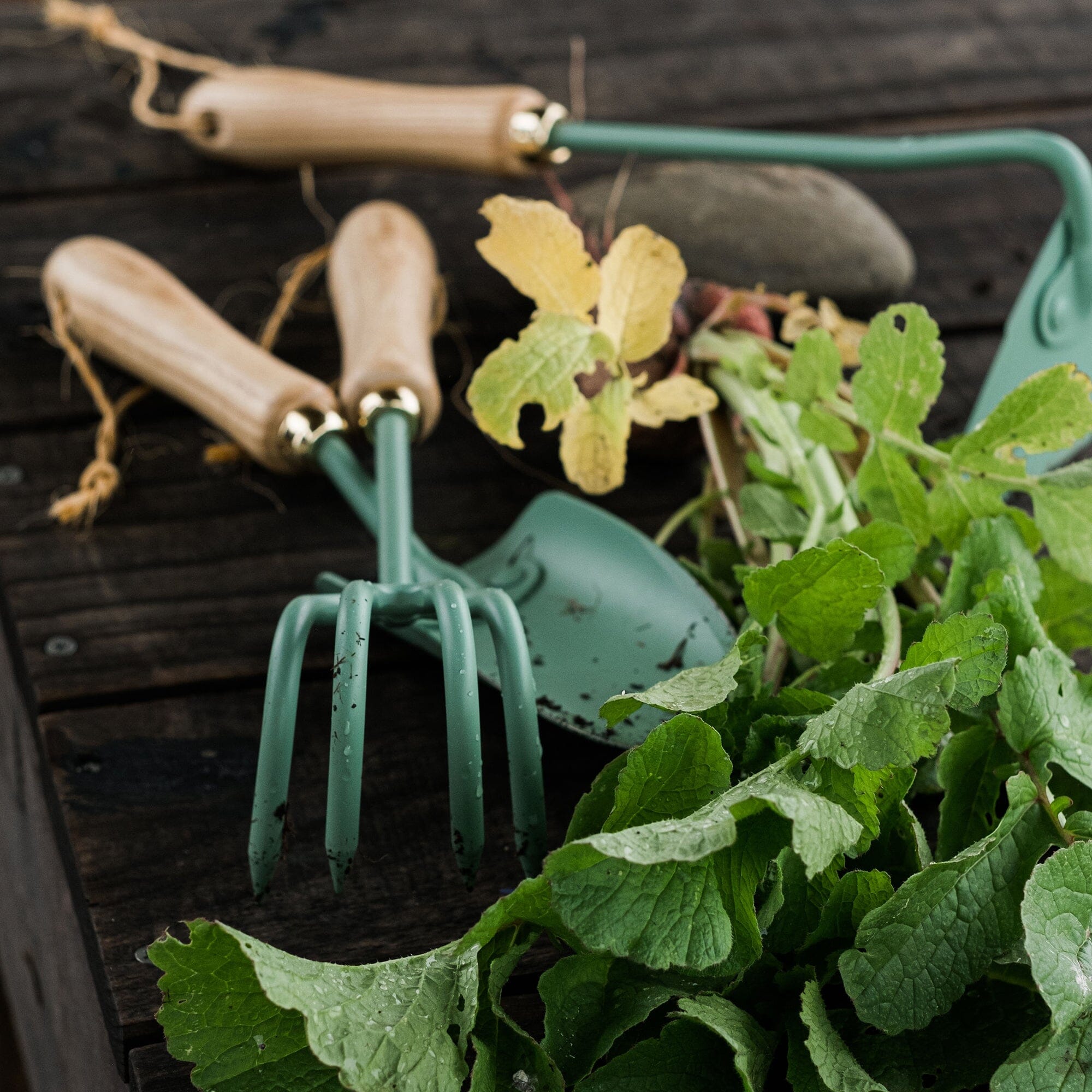 Best Garden Cultivator Tools for Soil Aeration & Weed Control - Perfect for Home Gardening, Landscaping & Farming