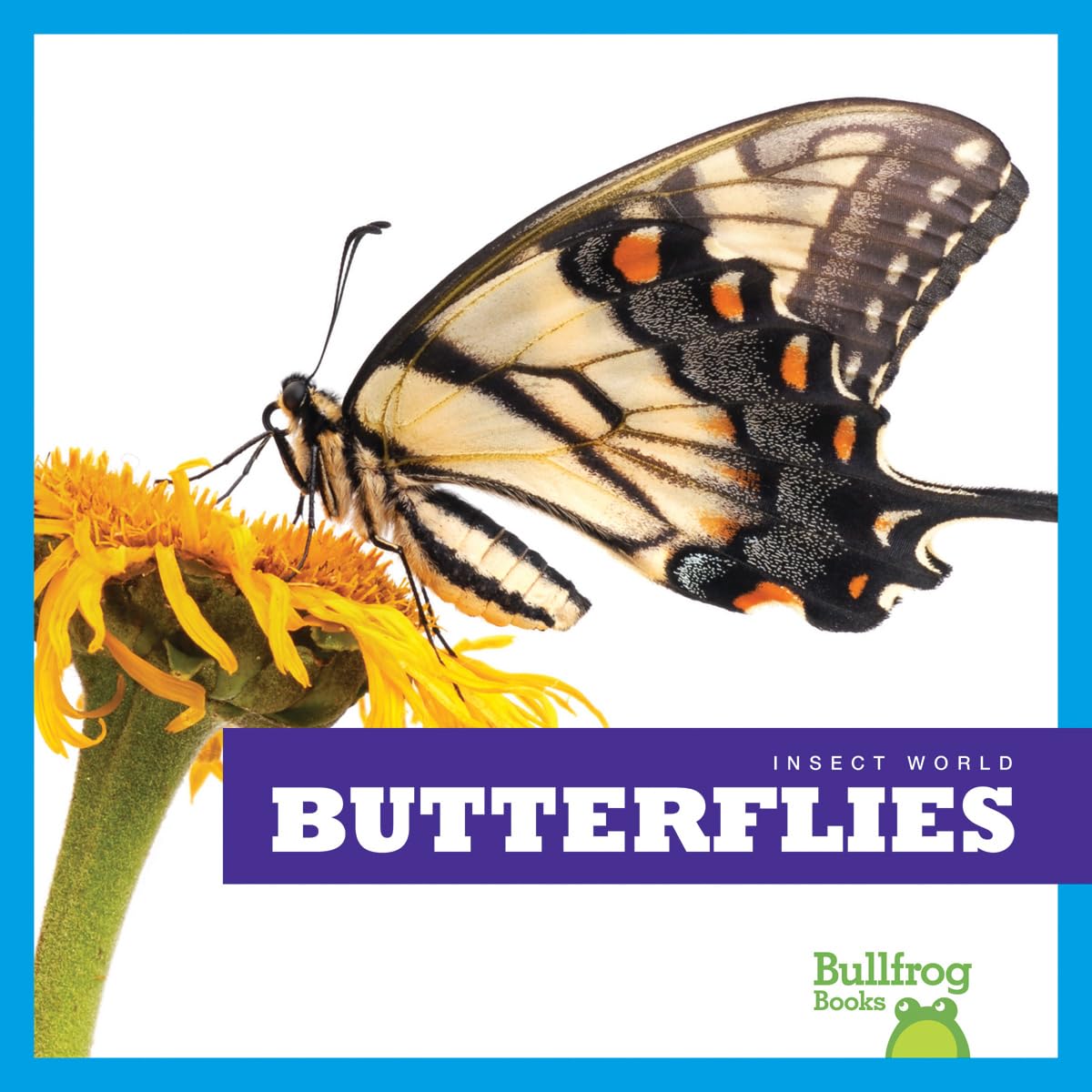 Butterflies - Bullfrog Books: Insect World | Educational Children's Book About Butterfly Life Cycle & Facts | Perfect for Classroom Learning & Nature Exploration