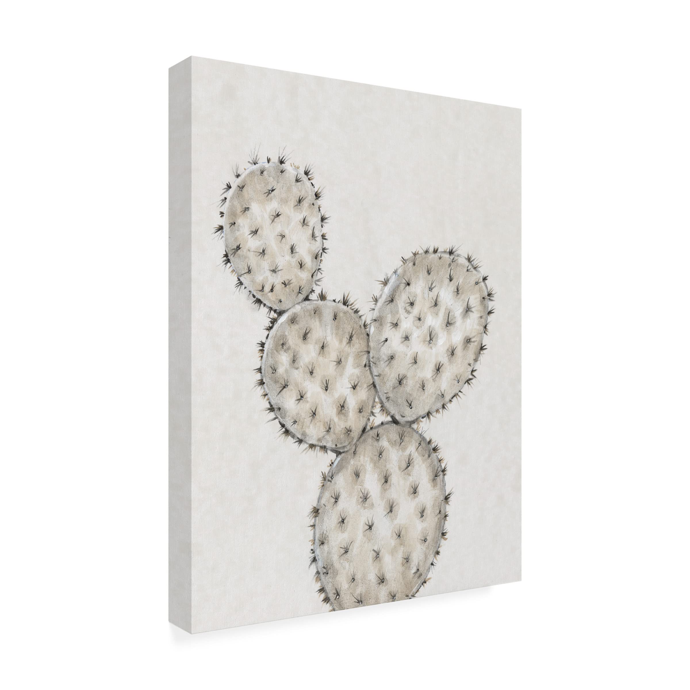 Trademark Fine Art 'Cactus Study IV' by Tim OToole - Premium Canvas Wall Art for Living Room, Bedroom & Office Decor