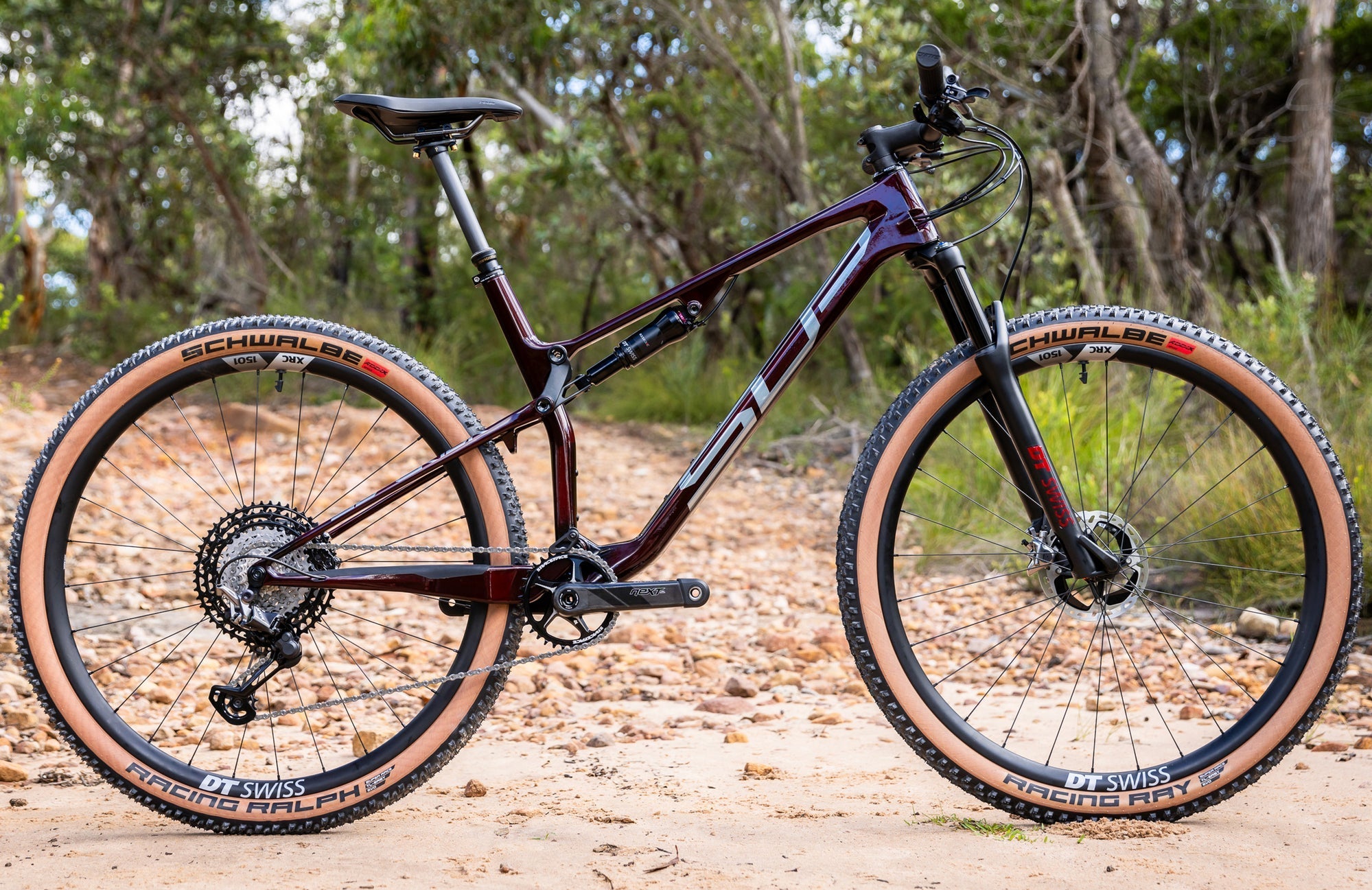 XF 29 Carbon XC Mountain Bike - Lightweight Full Carbon Frame, 29-Inch Wheels for Cross-Country Racing & Trail Riding | Perfect for Professional Cyclists & Mountain Adventures