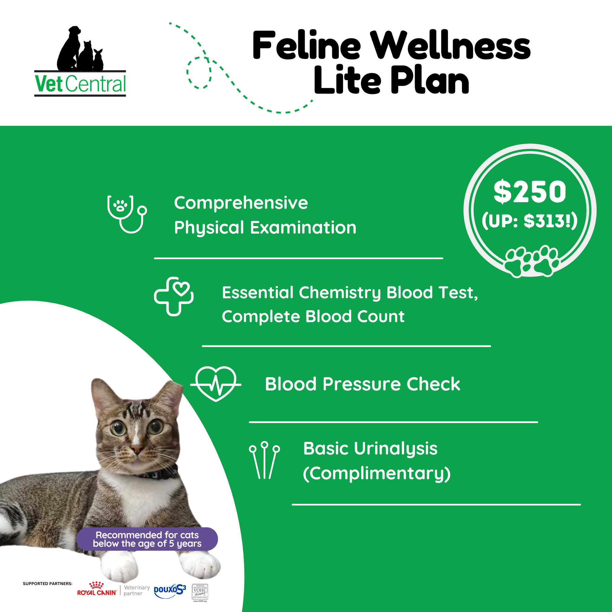 Feline Wellness Plan - Premium Cat Health & Nutrition Supplement for Indoor & Outdoor Cats - Supports Immune System, Digestion & Coat Health - Perfect for Daily Use at Home or Travel