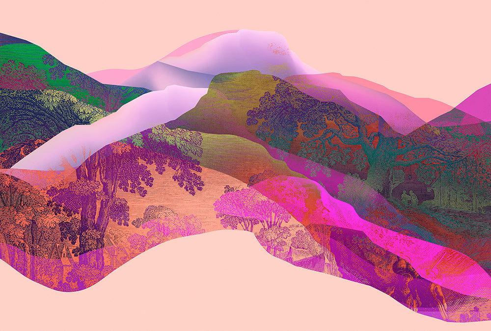 Pink-Violet