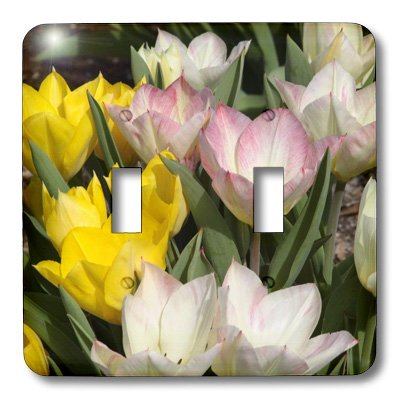 3D Rose Easter Pastel Tulips Floral Double Toggle Switch - Decorative Light Switch Cover for Home, Kitchen, Bedroom, Office (Spring Decor, Wall Plate)