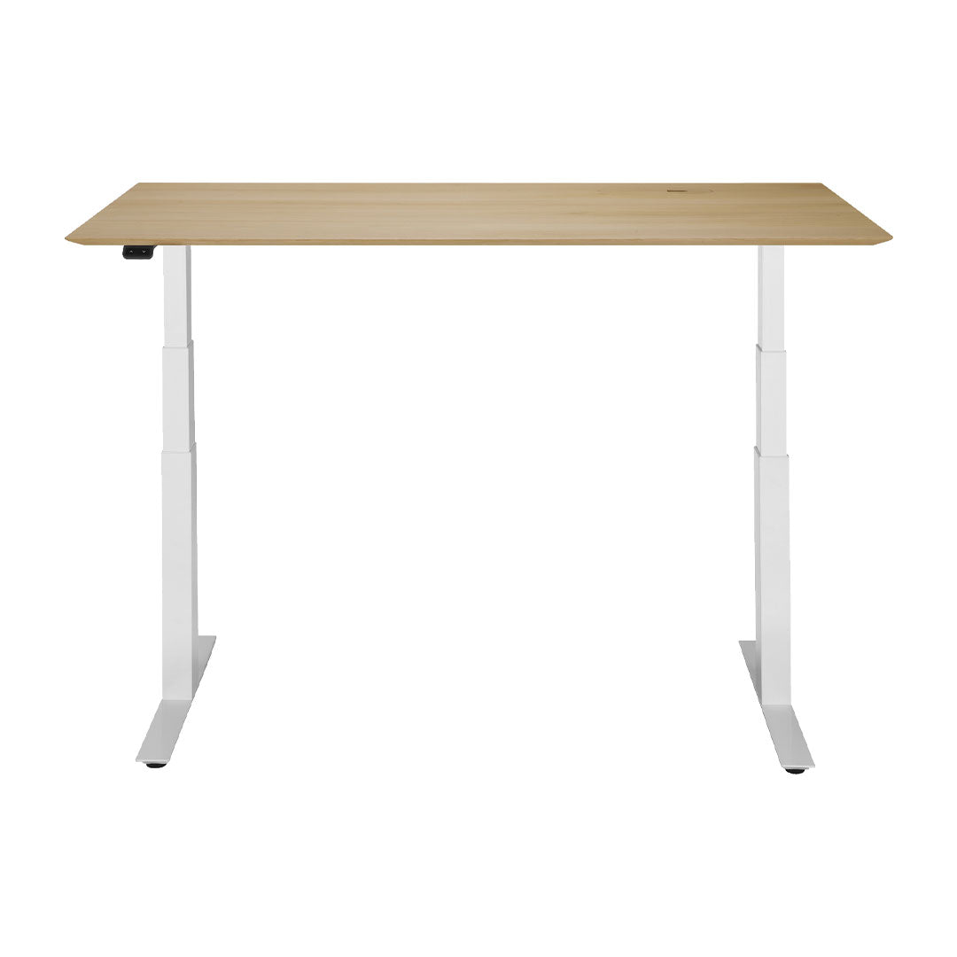 Adjustable Standing Desk - Ergonomic Height Adjustable Computer Desk for Home & Office - Perfect for Work from Home, Gaming & Study