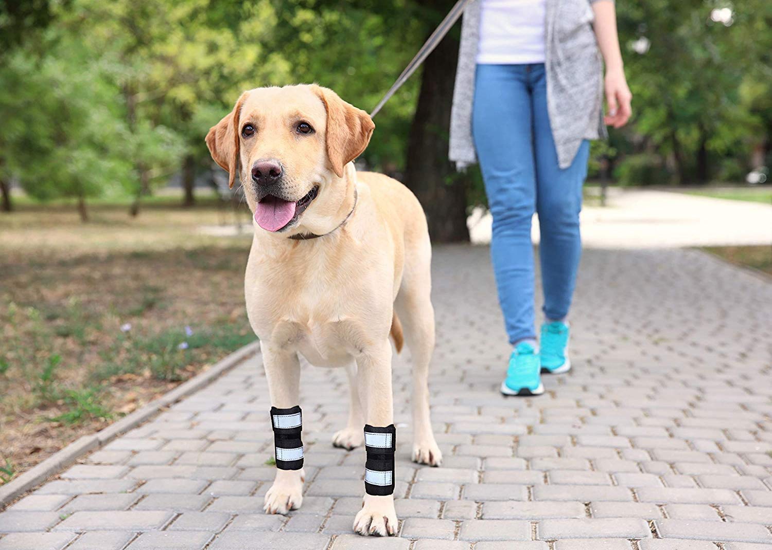 NeoAlly Dog Front Leg Compression Braces with Metal Spring Strips - Supportive Wrist Stabilizer for Canine Carpal Joint, Prevents Injuries & Sprains (S/M Pair) - Ideal for Active Dogs, Post-Surgery Recovery & Arthritis Relief