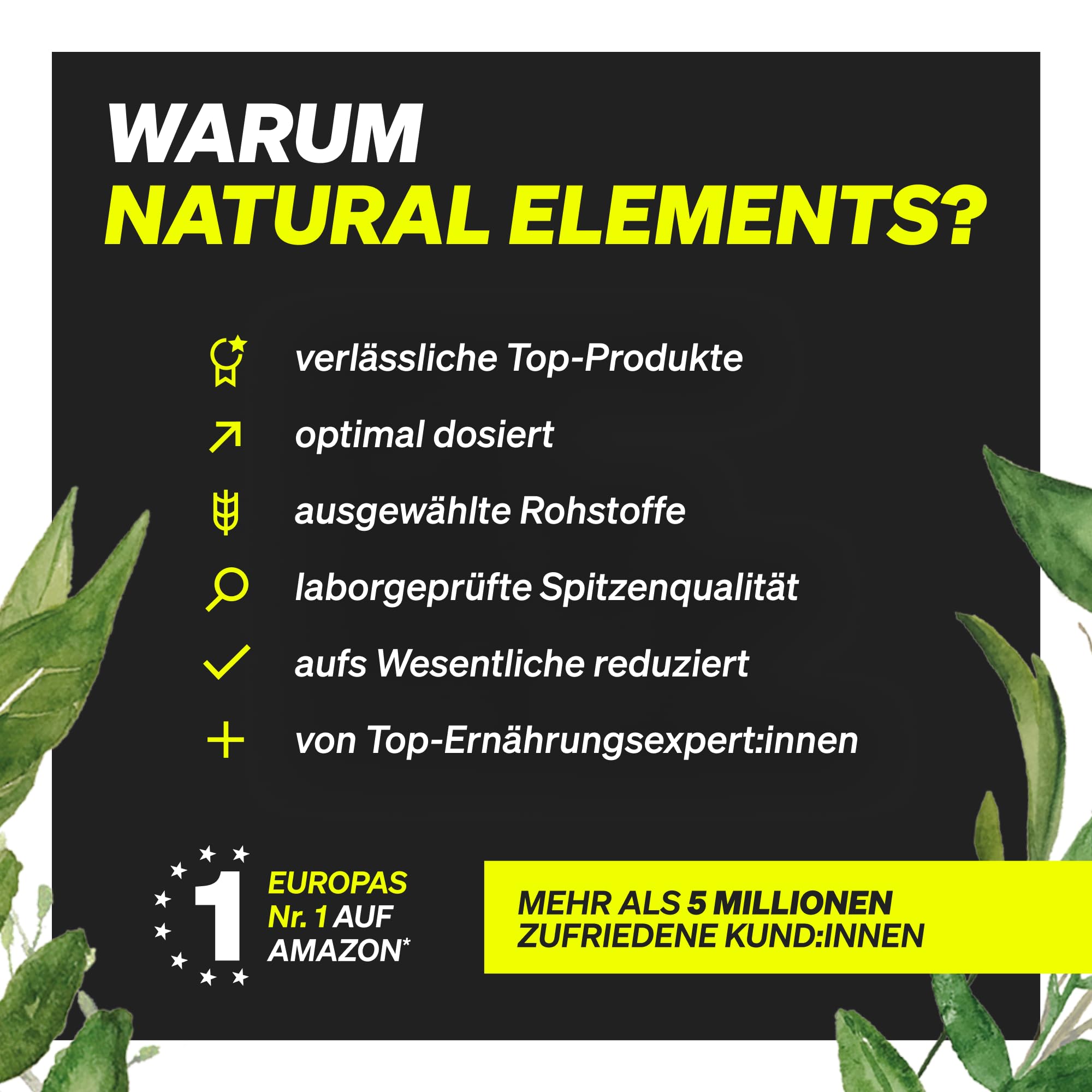 Vanilla Whey Protein Powder - 1kg, 24g Protein Per Serving - Naturally Sweetened, High-Quality & Lab-Tested - Made in Germany - Ideal for Post-Workout Recovery & Muscle Building
