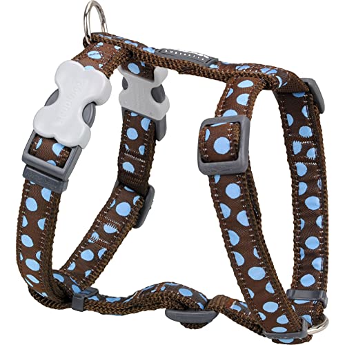 Blue Spots on Brown