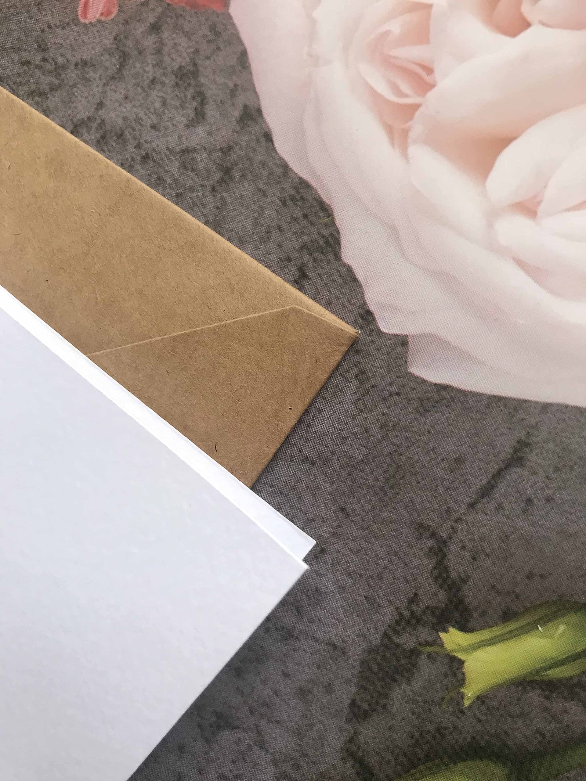Happy Birthday Sister Card - Blank Inside for Personal Message - 5 x 7 Inch Greeting Card with Kraft Envelope - Perfect for Sister's Birthday, Anniversary or Special Occasion Gift
