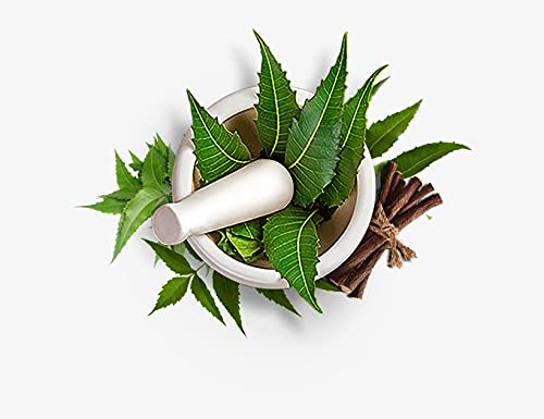 Organic Ayurvedic Hair Care Powder Set - Amla, Reetha, Shikakai, Neem & Bhringraj (40g Each) for Natural Hair Growth, Dandruff Treatment & Scalp Care | Perfect for DIY Hair Masks, Herbal Shampoo & Ayurvedic Hair Treatments