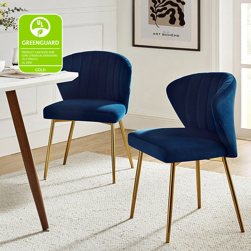 Aruna Side Chair Set - Modern Dining Chairs for Kitchen, Living Room & Office - 2-Piece Wooden Accent Chairs with Cushion - Perfect for Small Spaces, Breakfast Nook & Home Decor