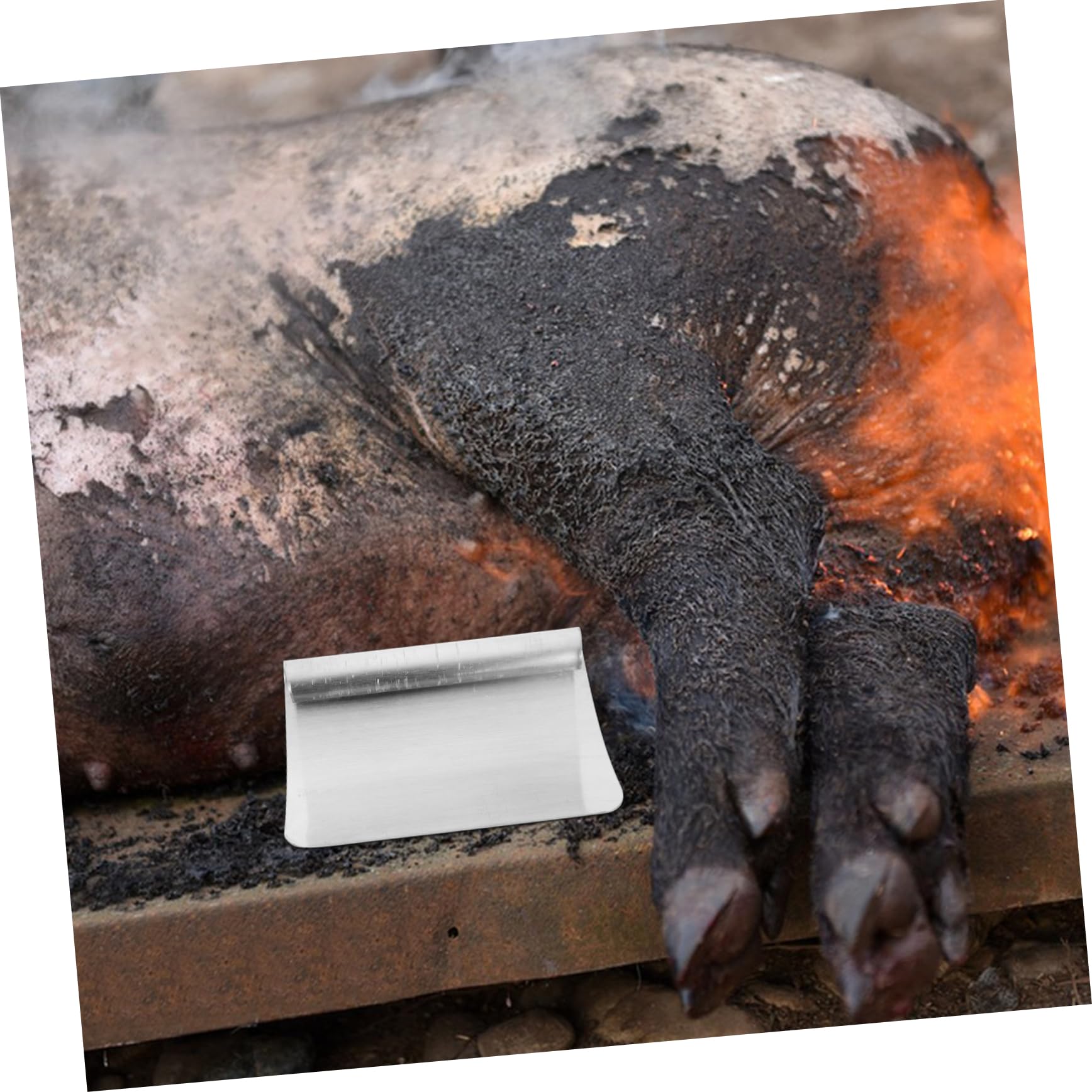 Operitacx 2-Pack Premium Manganese Steel Pig Hair Scraper - Multi-Functional Livestock & Animal Hair Remover Tool for Cats, Pork, and Meat - Durable Kitchen Gadget for Professional & Home Use - Perfect for Butchers, Farmers, and Pet Grooming