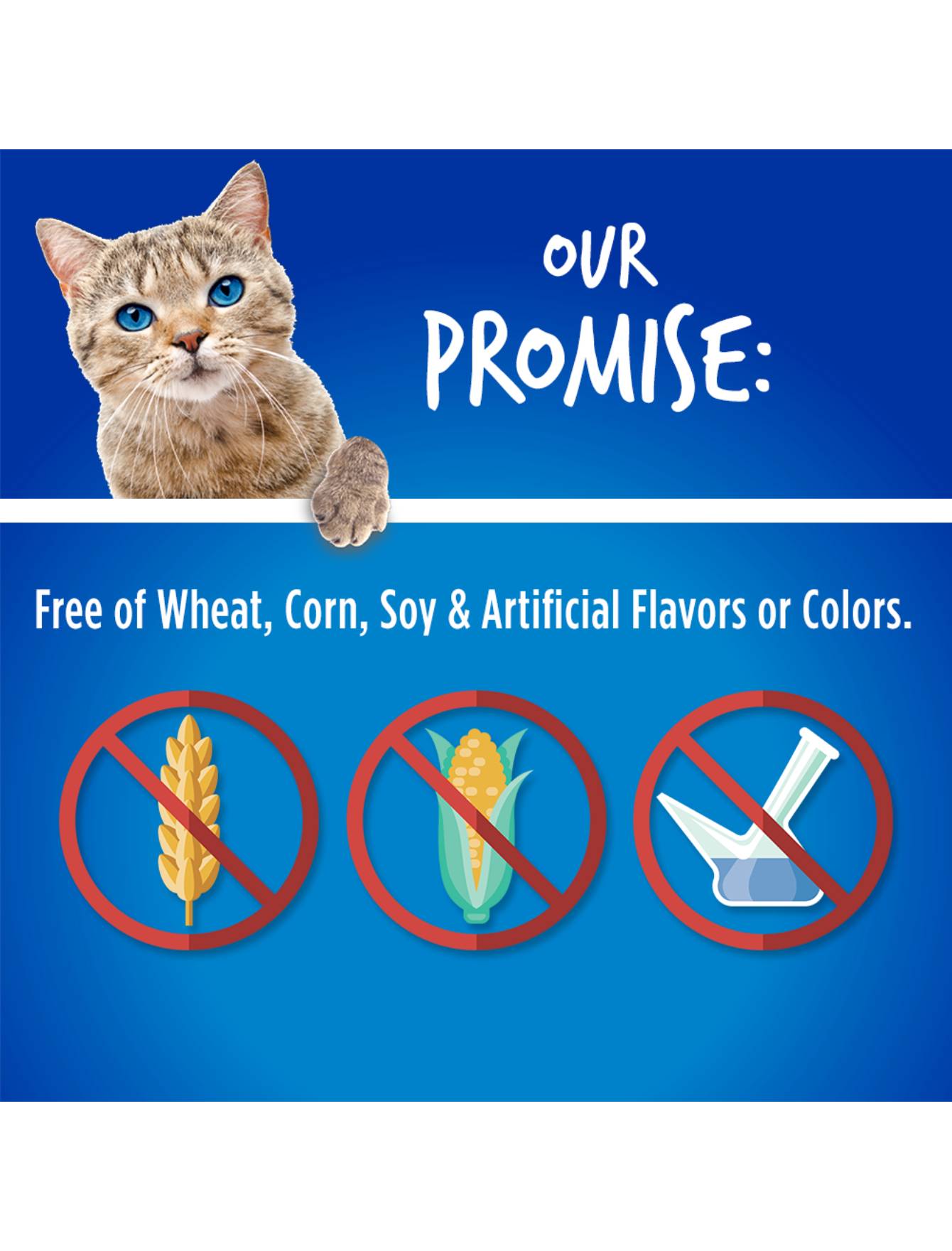 Fruitables Crunchy Chicken & Blueberry Cat Treats 2.5oz - Natural Grain-Free Cat Snacks for Indoor & Outdoor Cats - Perfect for Training, Rewards, and Daily Treats