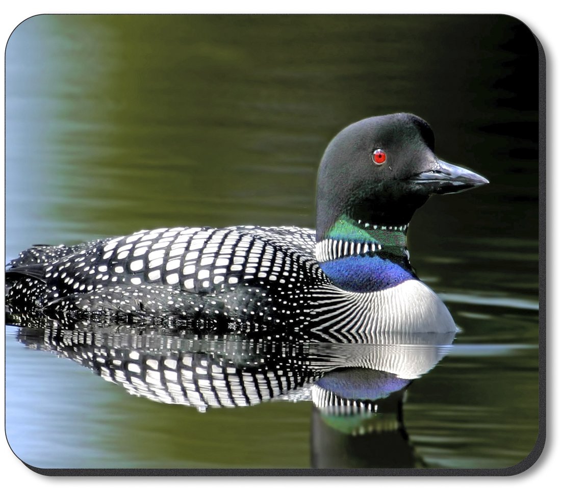 Premium Art Plates Brand Mouse Pad - Loon Design | Non-Slip Gaming & Office Computer Accessory | Perfect for Workstations, Gaming Setups & Home Offices