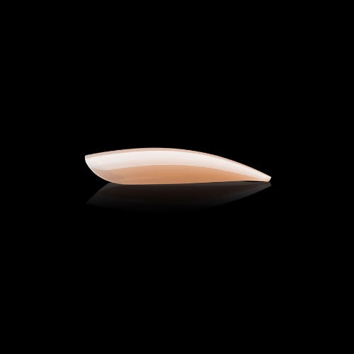 Apres Gel X Neutrals Alex Natural Tips 150pc Medium Stiletto Nail Extensions - Professional Salon Quality Press-On Nails for Manicure & Pedicure at Home or Spa
