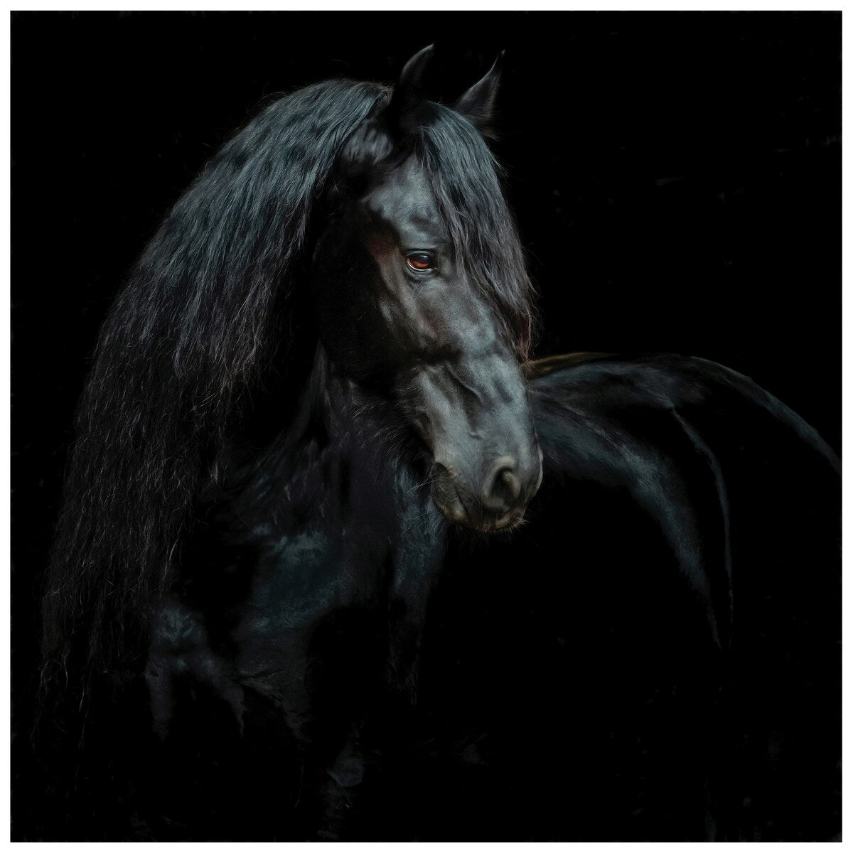 Black Equine Attraction Frameless Floating Tempered Glass Wall Art - Modern Home & Office Decor for Living Room, Bedroom, or Workspace