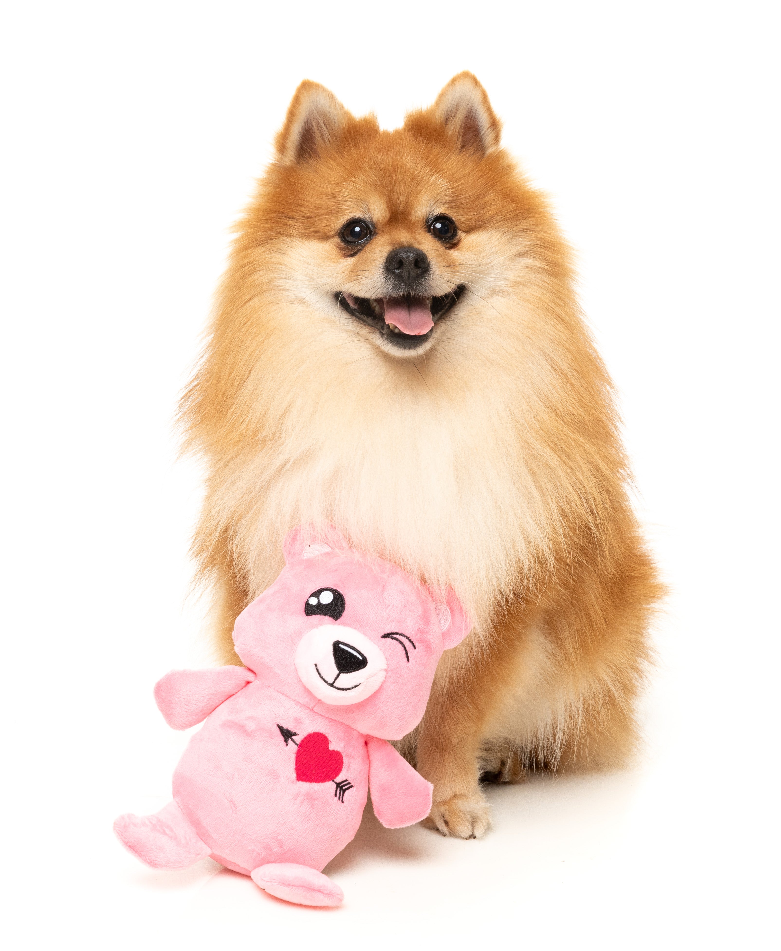 Fuzzy Valentine's Day Plush Dog Toy - Nothing Butt Love Bear | Cute & Soft Chew Toy for Small & Medium Dogs | Perfect Gift for Pet Lovers & Valentine's Day
