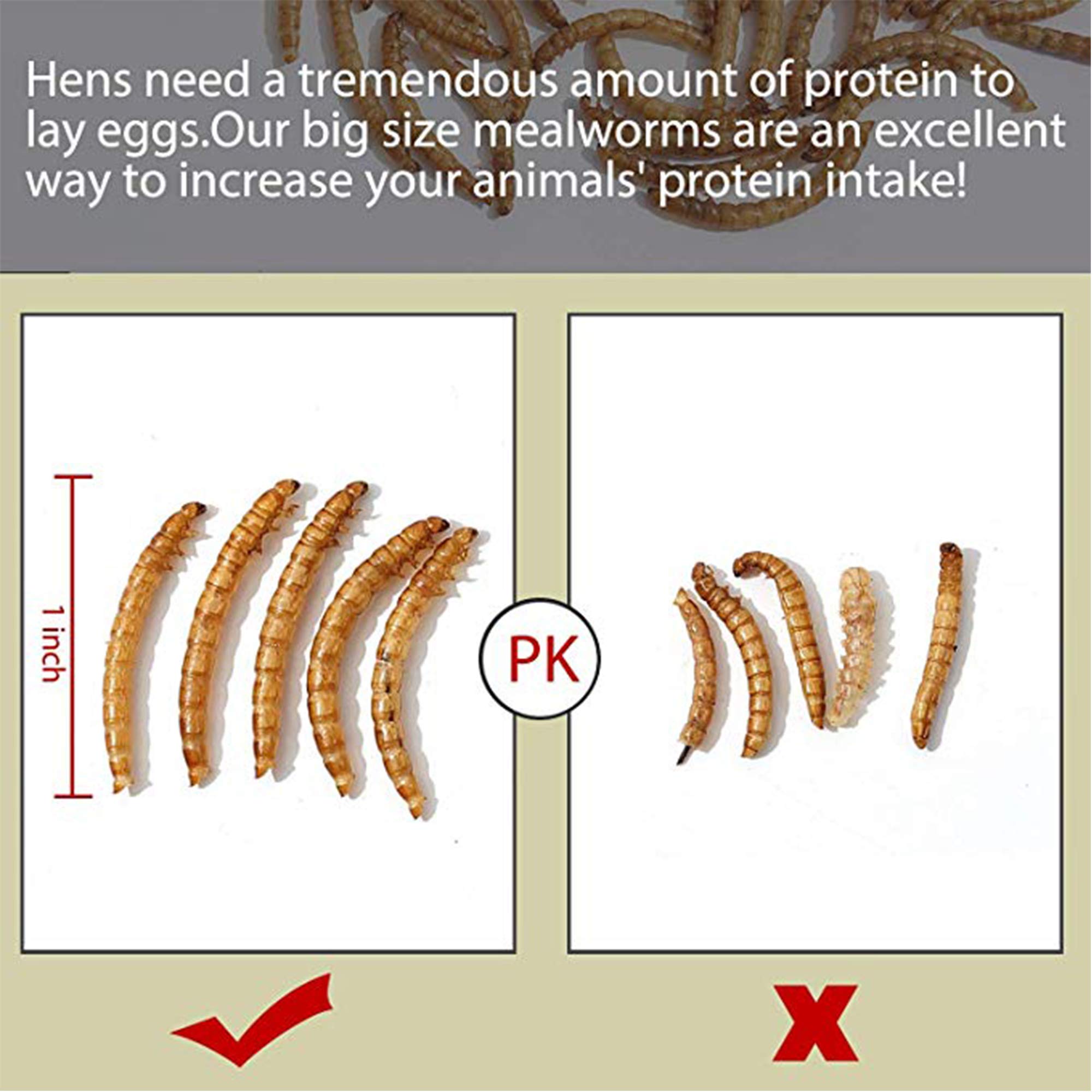 20 LBS Non-GMO Dried Mealworms for Wild Birds, Chickens & Fish - High Protein Large Mealworms - Perfect for Bird Feeding, Poultry Treats & Fishing Bait