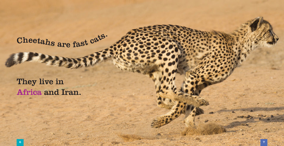 Cheetahs Book - ISBN 9781608184521 - Wildlife Education & Conservation Guide for Animal Lovers