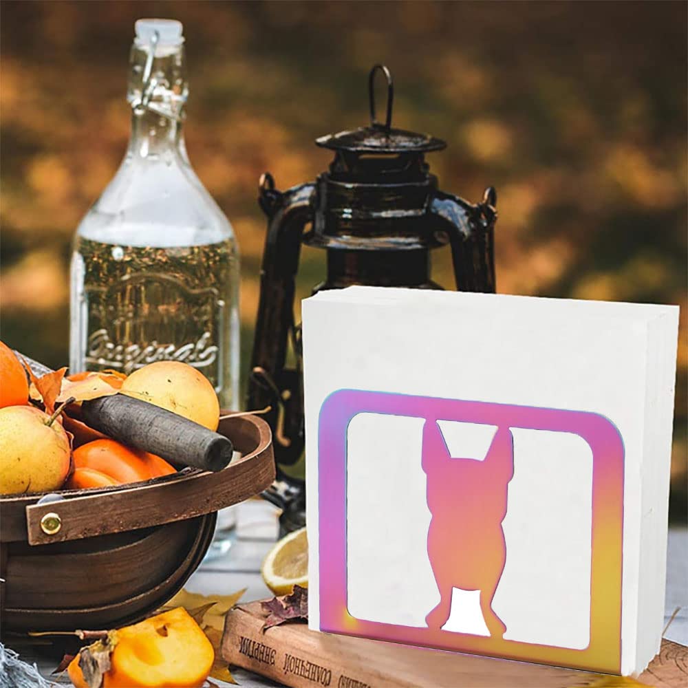 Rainbow Stainless Steel Napkin Holder - Farmhouse Kitchen & Dining Table Decor for Home, Restaurant, and Party Use | Classic Tissue Paper Napkin Dispenser for Everyday Meals and Special Occasions
