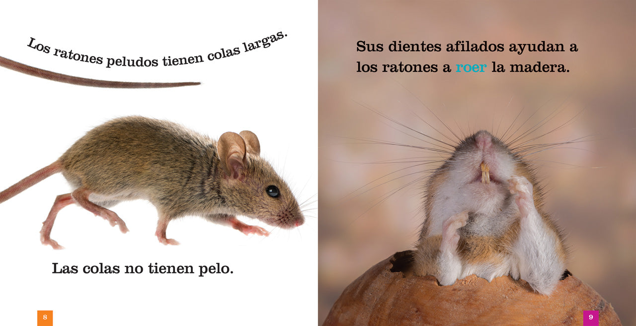 9781640260917 - Los Ratones (Mice) - Spanish Children's Book for Early Learning & Bedtime Stories