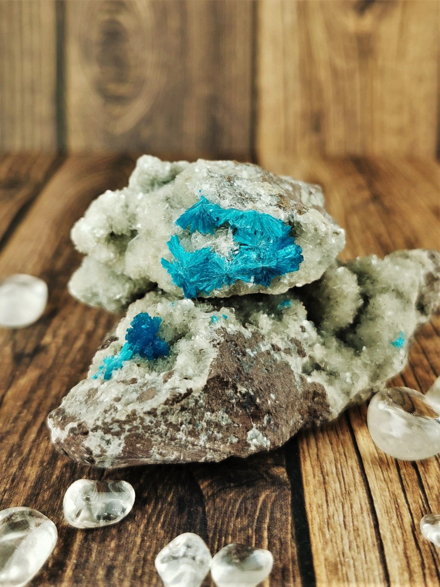 Natural Canvasite Mineral Specimens for Collectors - Perfect for Display, Education & Crystal Healing