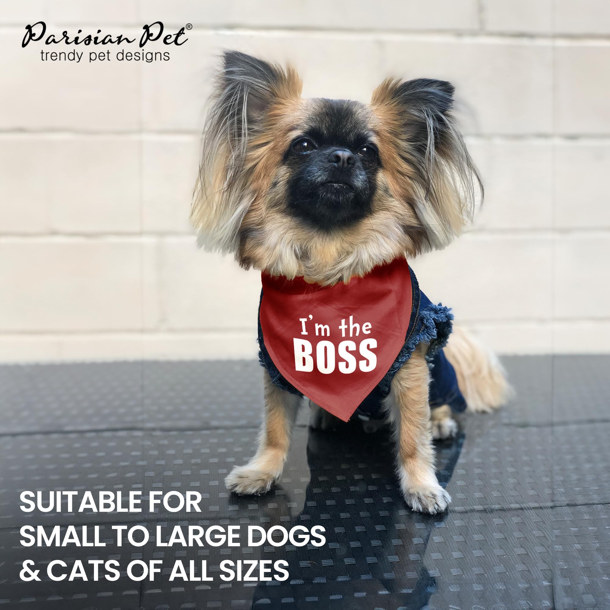 Premium Unisex Dog Bandanas - Adjustable 'I'm The Boss' Printed Pet Scarf for Small Dogs | Washable Triangle Dog Bib & Stylish Red Pet Handkerchief | Perfect for Daily Walks, Pet Parties & Photo Shoots