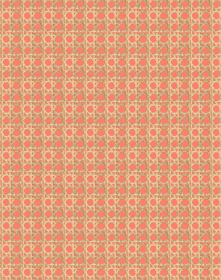 Wallshoppe Faux Caning Wallpaper - Watermelon Pattern Peel and Stick Wallpaper for Bedroom, Living Room, and Bathroom Decor