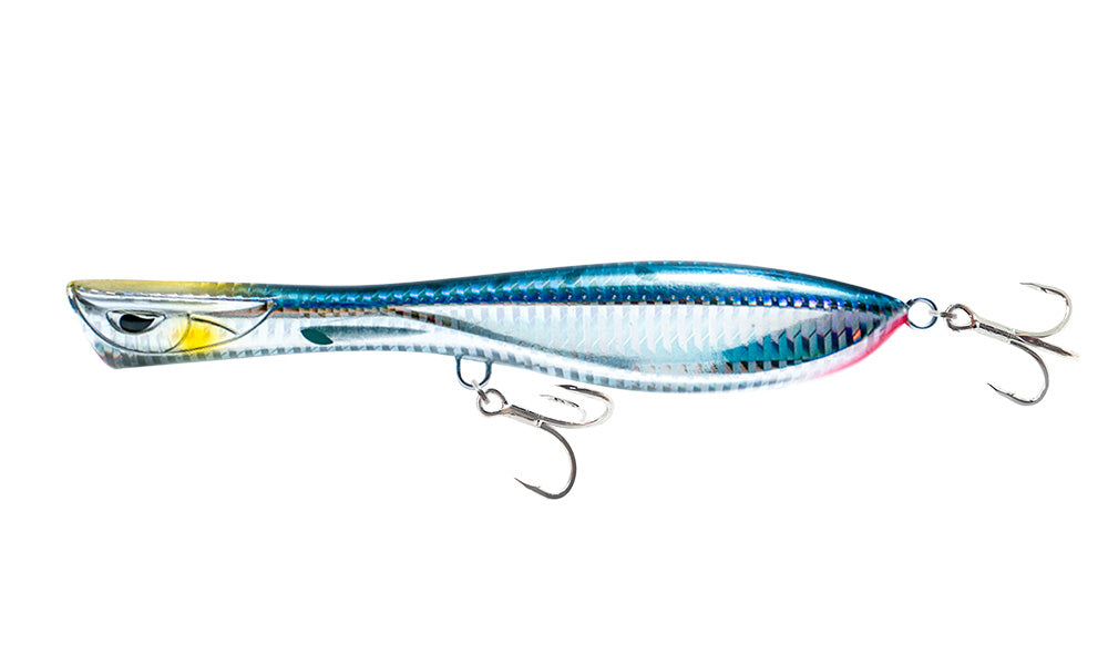 Sardine