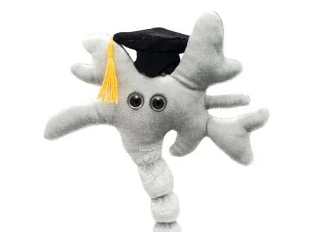 GIANTmicrobes Graduation Brain Cell Plush Toy - Class of 2025 Graduation Gift for Nurses, Medical Students & Science Lovers | Cute Stuffed Animal for Graduation Parties, Office Decor & College Dorm
