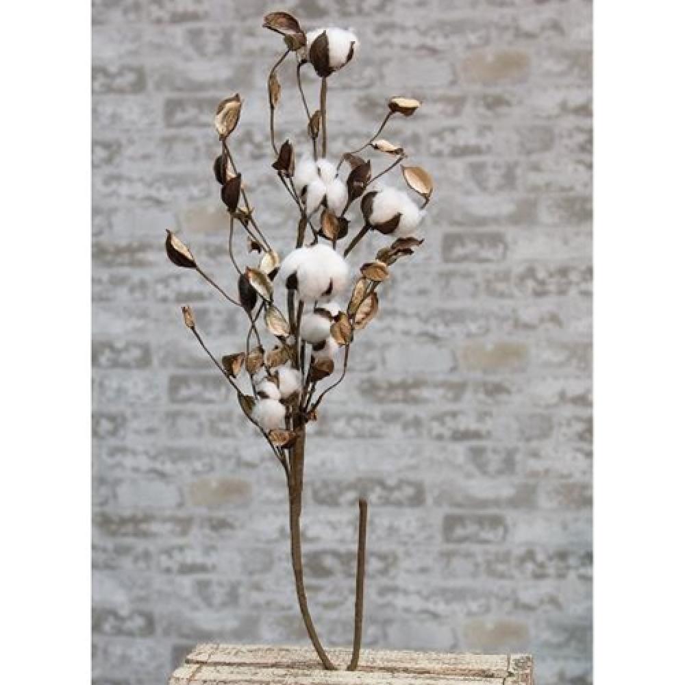 Natural Cotton Branch with Shells Decor - 30 Inch Rustic Coastal Home Decor for Beach House, Farmhouse, or Boho Style Rooms