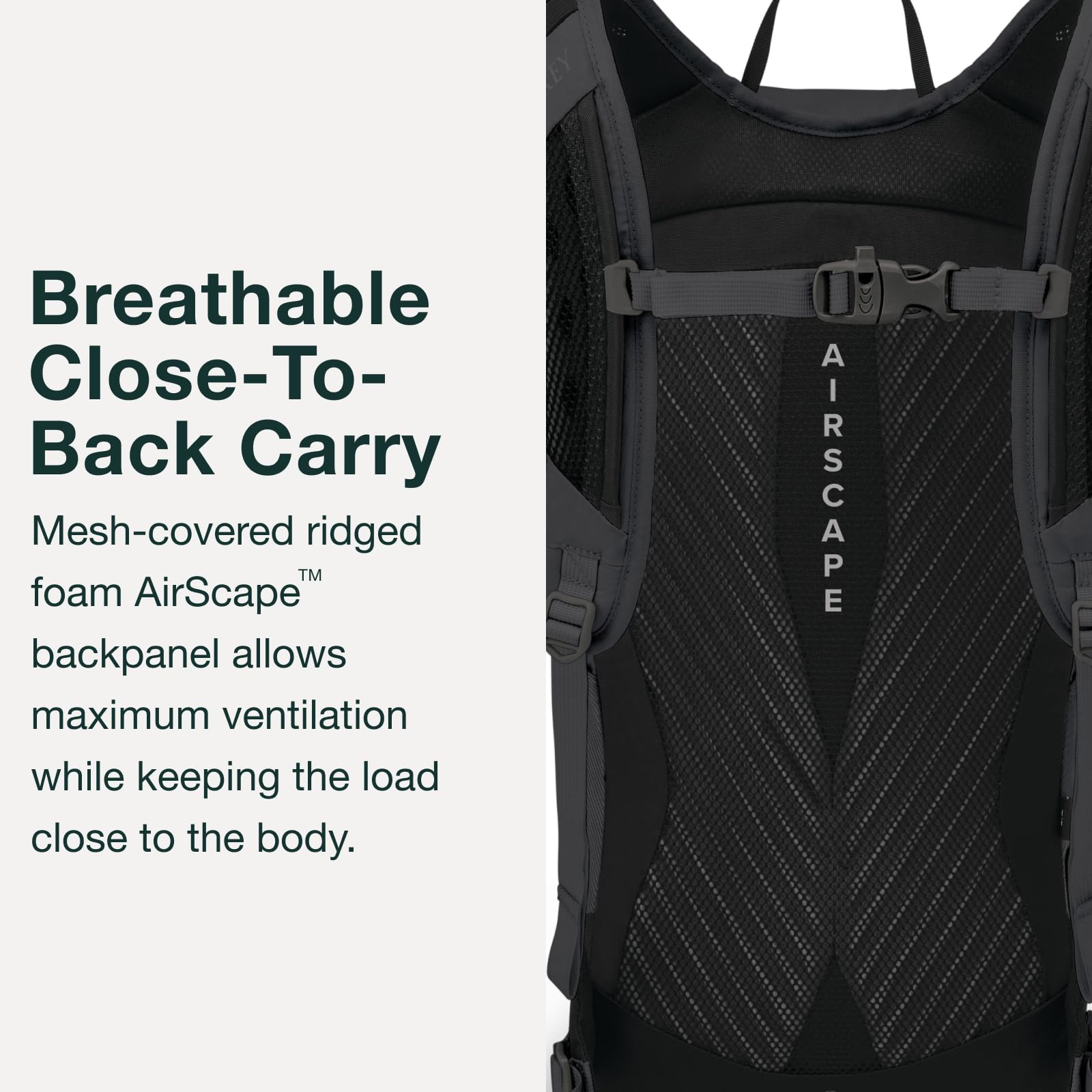 Osprey Sportlite 15L Unisex Hiking Backpack - Lightweight Daypack for Outdoor Adventures, Travel & Camping | Pine Leaf Green