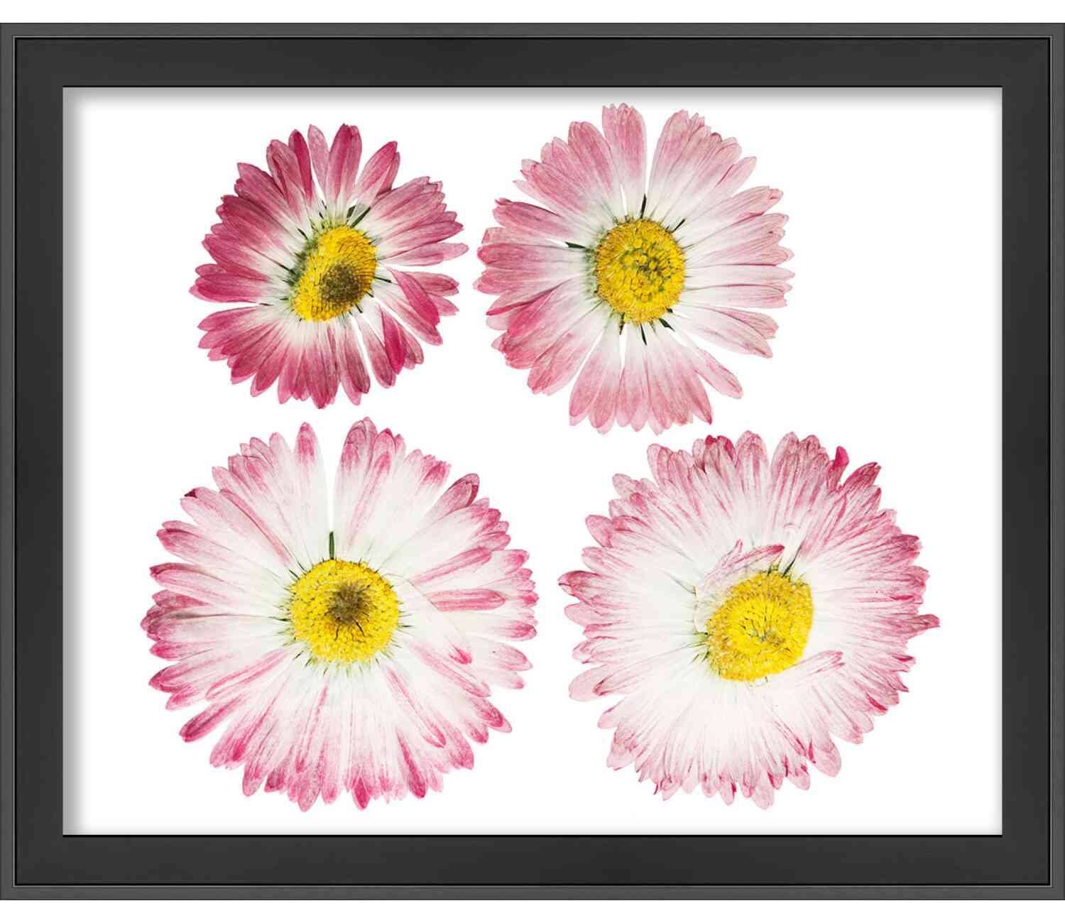 20x15 Inch Black Shadow Box Frame - 1 Inch Deep Display Case for Collectibles, Memorabilia & Keepsakes - Shatter Resistant Acrylic with Hanging Hardware - Perfect for Home Decor, Office Display & Wall Art Arrangements