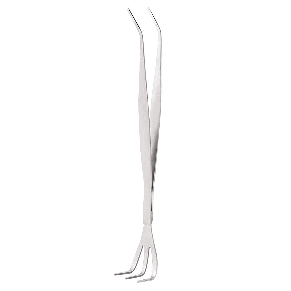 Agatige 2 in 1 Stainless Steel Gardening Hand Rake - Root Claw Rake for Bonsai, Cultivating, Loosening Soil & Spreading Mulch | Perfect for Indoor Plants, Flower Beds & Small Garden Maintenance