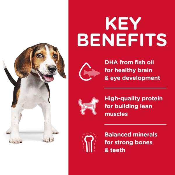 Hill's Science Diet Puppy Dry Dog Food - Chicken Meal & Barley Recipe for Small & Large Breeds (5lb & 15lb Bags) | High Protein Puppy Food for Growth & Development | Perfect for New Puppy Owners & Training