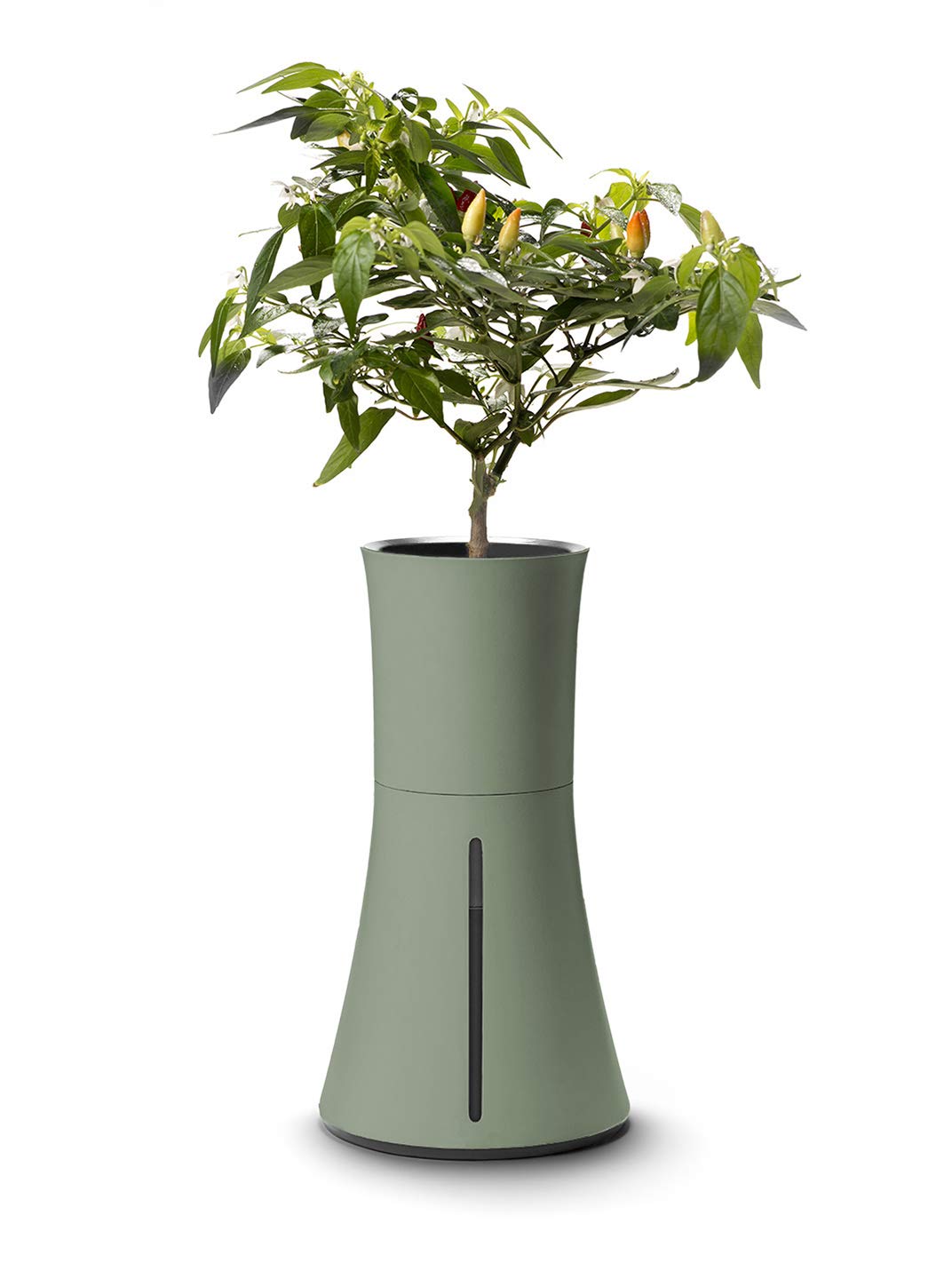 Botanium Hydroponic Indoor Garden System - Automatic Self-Watering Planter for Herbs, Vegetables & Flowers - Perfect for Kitchen, Office & Small Space Gardening