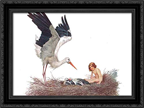 Sergey Solomko Framed Canvas Art - Blessed Be The House Where A Stork Nested - 24x18 Inch Black Ornate Wood Wall Decor - Perfect for Nursery, Living Room & Home Office Decor