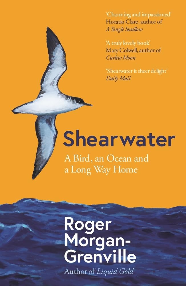 Shearwater Bird: Ocean Migration Journey & Long Way Home - Perfect for Birdwatching, Nature Lovers & Marine Wildlife Enthusiasts