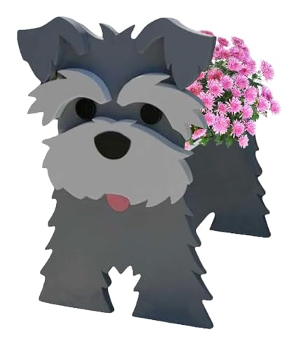 Schnauzer Gray