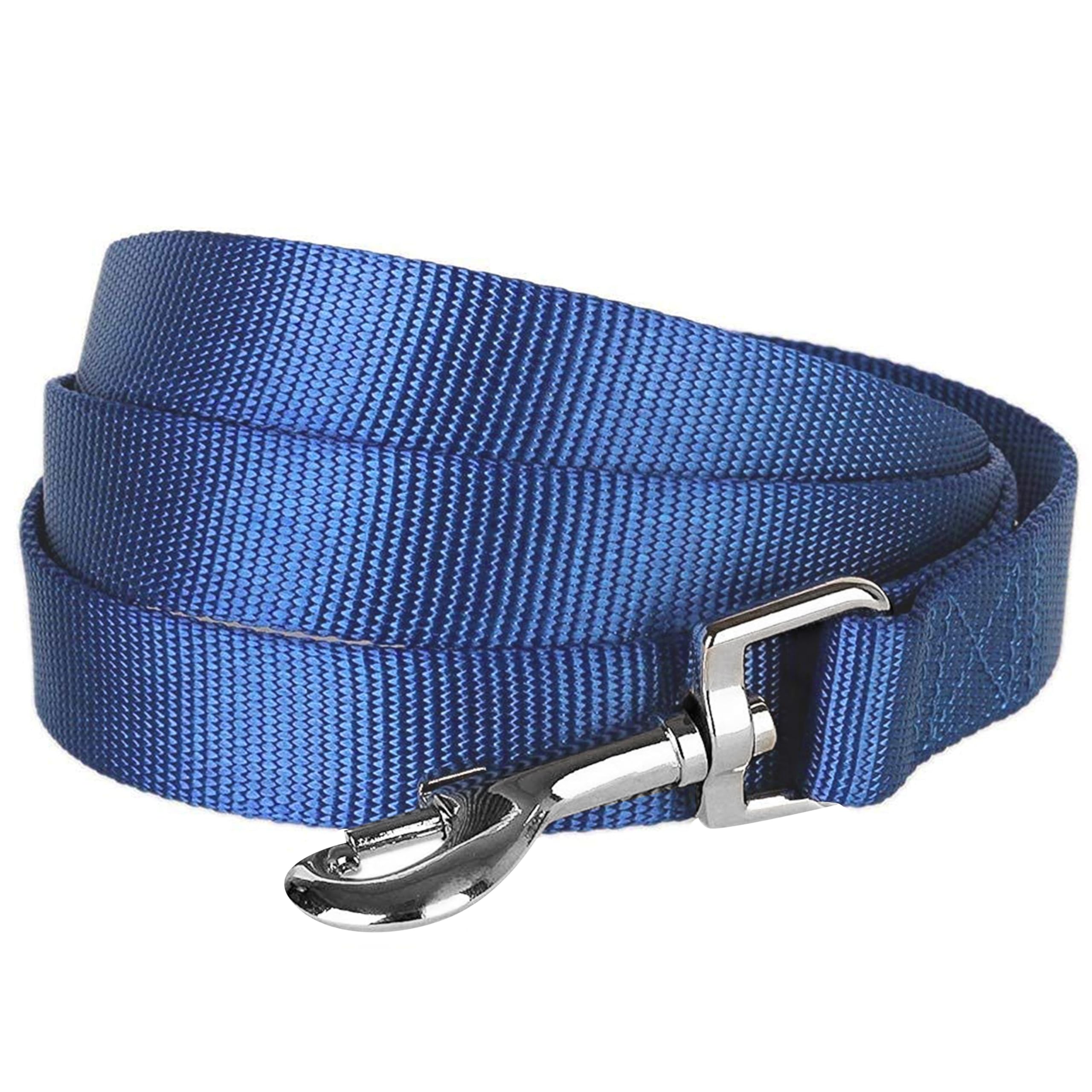 Durable Nylon Dog Leash for Small Dogs - 5ft Classic Pet Leash with 3/8