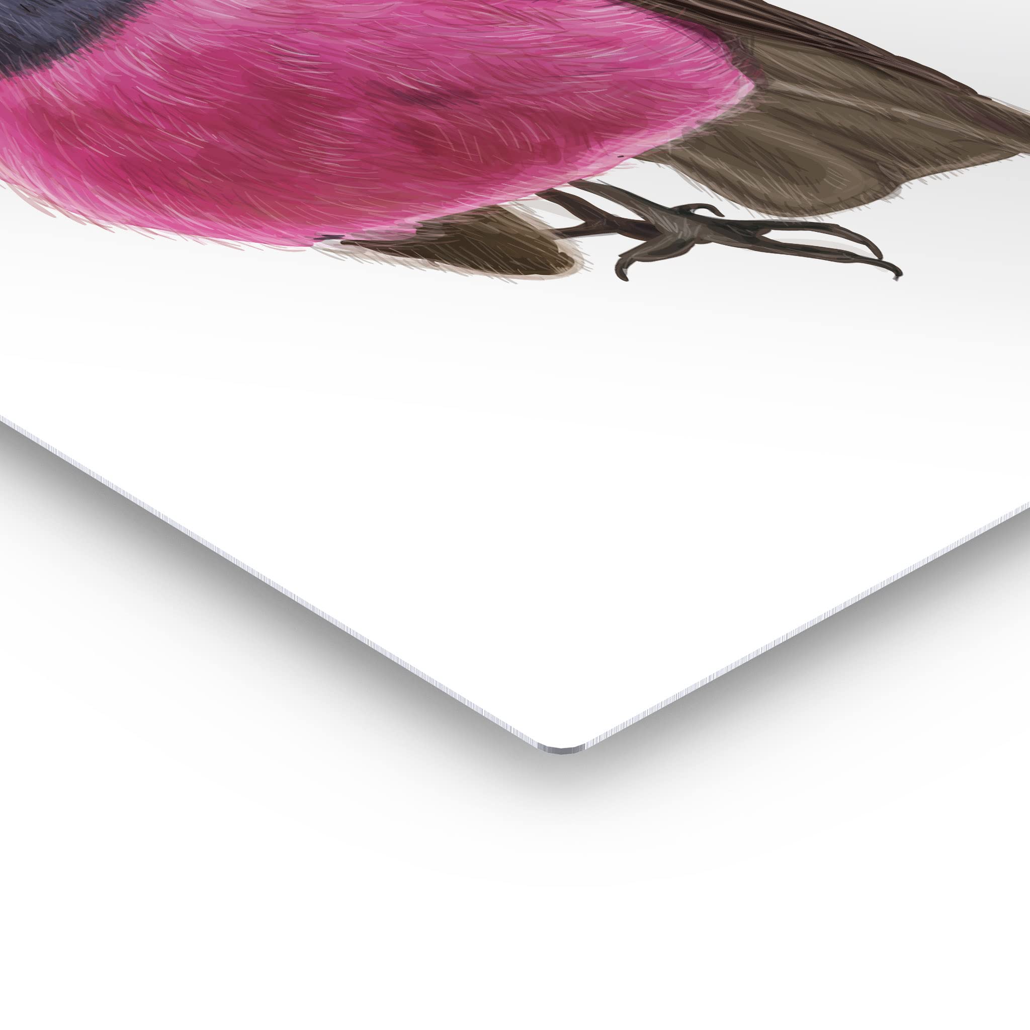 Australian Pink Robin Bird Metal Wall Art Print - Handmade in USA, 24x16 Inch - Perfect for Home, Office, Nursery & Veterinary Decor - Beautiful Animal Illustration Gift for Bird Lovers