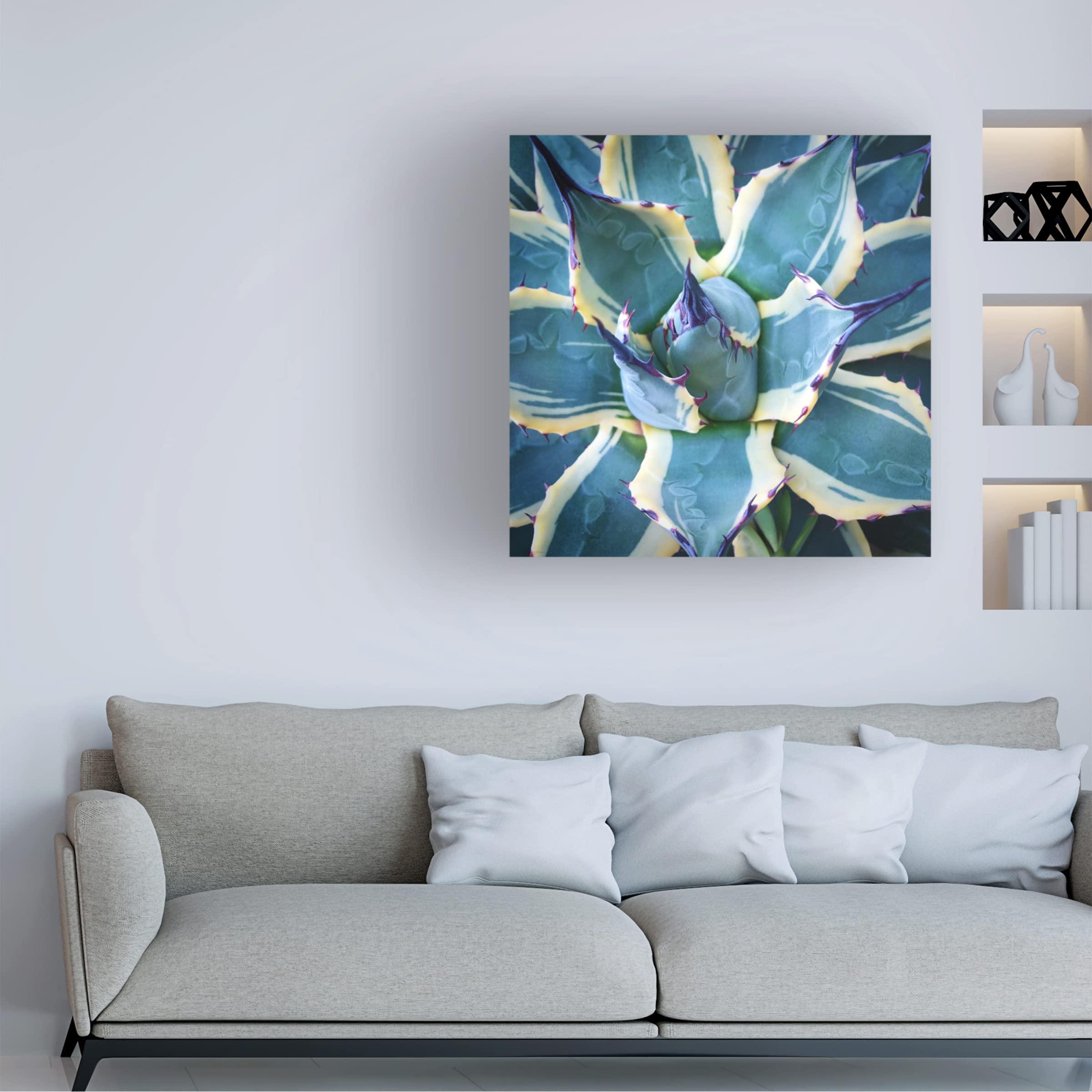 Trademark Fine Art 'Elegant Thorns' Canvas Wall Art by Jan Bell - Floral Home Decor for Living Room, Bedroom & Office