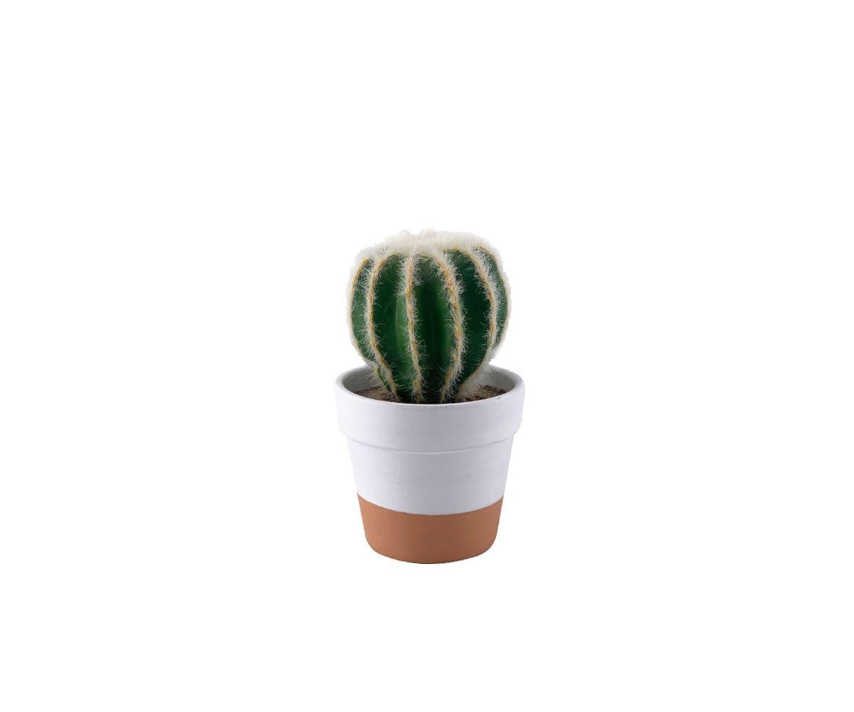 Artificial Barrel Cactus Plant in Pot - Low Maintenance Home & Office Decor for Desert Theme, Boho Style, and Succulent Lovers