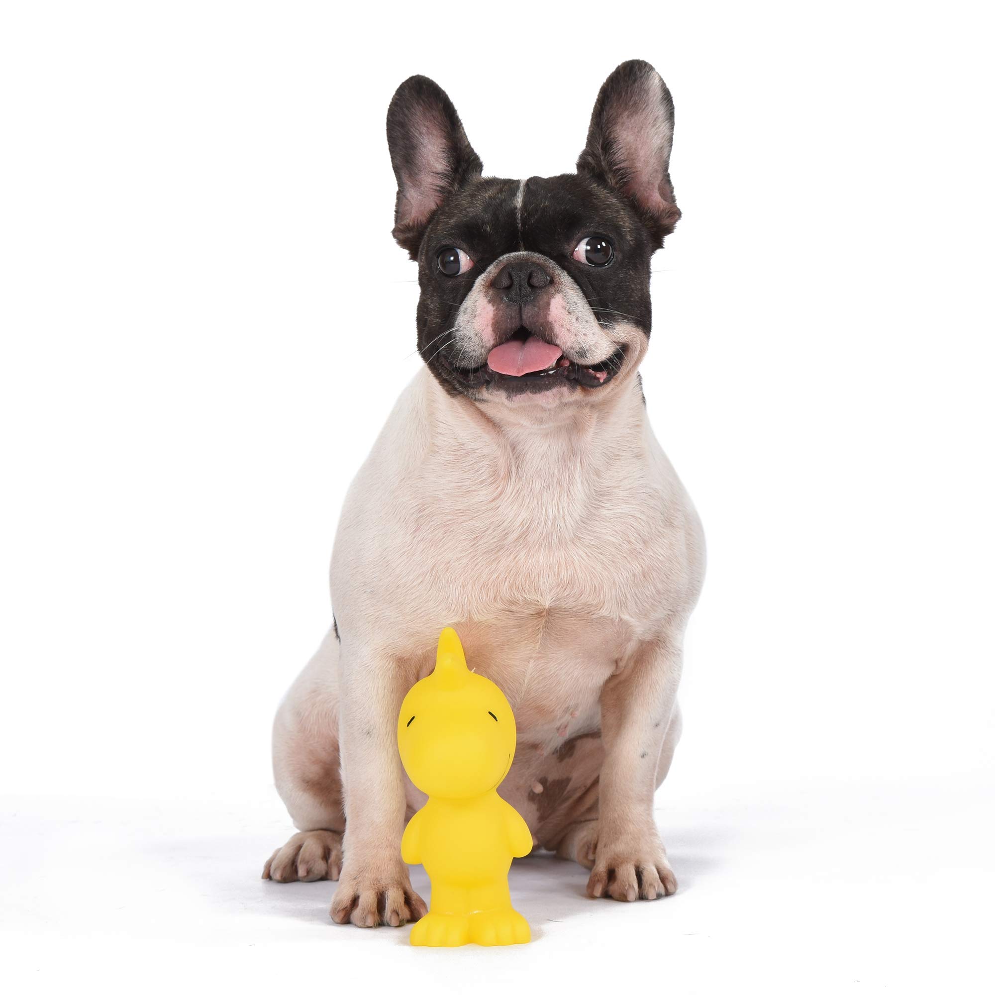 Charlie Brown Woodstock Vinyl Squeaker Dog Toy - Durable Squeaky Chew Toy for Aggressive Chewers | Fun Yellow Pet Toy for Small, Medium & Large Dogs | Perfect for Playtime, Training & Interactive Bonding