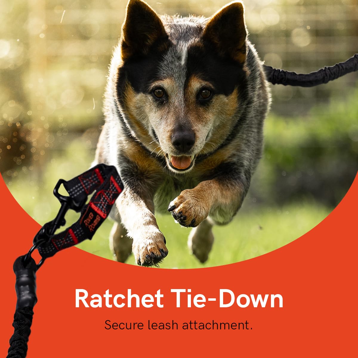 Rover Roamer Sky Track Aerial Dog Run - 50ft Portable Dog Leash for Outdoor Adventures | Durable USA-Made Dog Tether for Backyard, Camping & Hiking | Safe Freedom System for Active Dogs