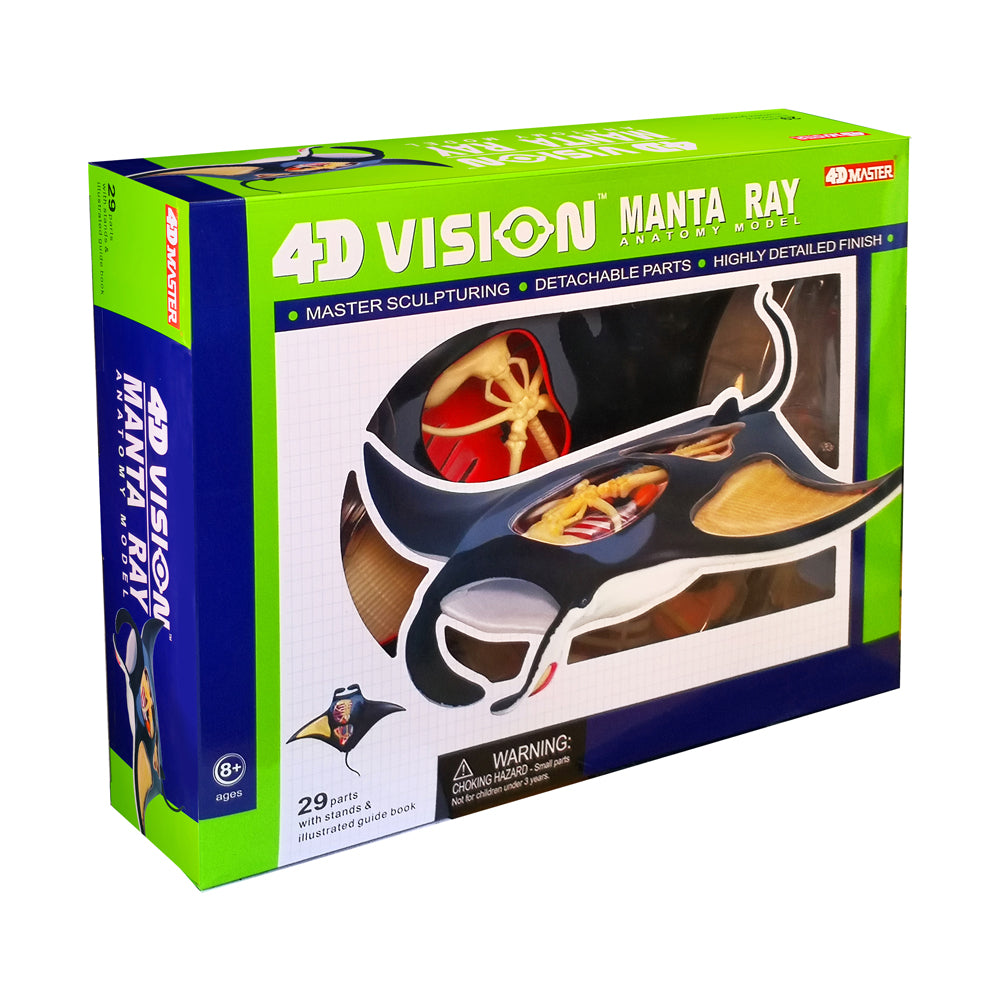 4D Master Manta Ray Anatomy Model Kit - Educational Marine Biology Science Toy for Kids & Adults - Perfect for Classroom Learning, Home Study & Ocean Life Enthusiasts